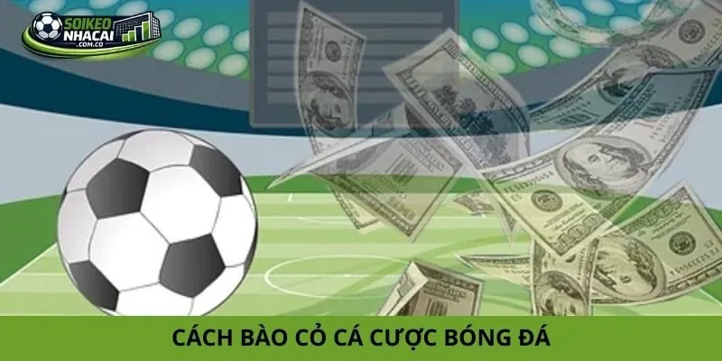 Cách bào cỏ cá cược bóng đá