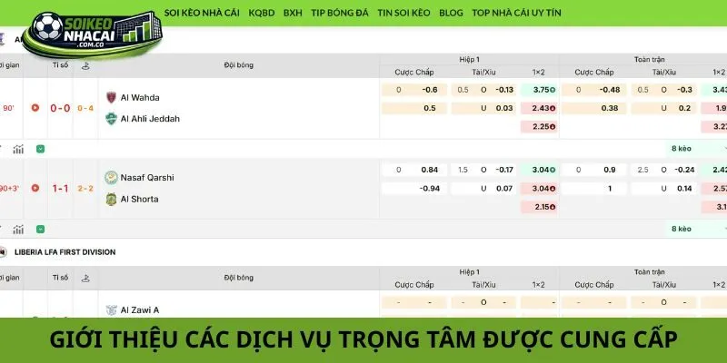 Giới thiệu các dịch vụ trọng tâm được cung cấp