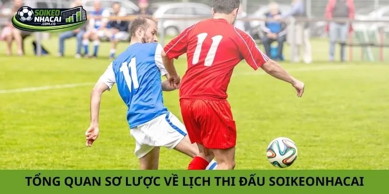 Tổng quan sơ lược về lịch thi đấu soikeonhacai