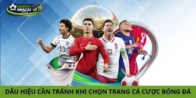 Lựa chọn trang cá cược bóng đá Lựa chọn trang cá cược bóng đá