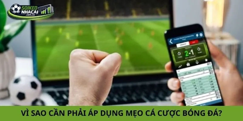 Vì sao cần phải áp dụng mẹo cá cược bóng đá?