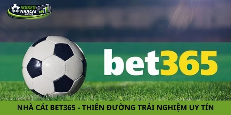 Nhà Cái Bet365 – Thiên Đường Trải Nghiệm Uy Tín, An Toàn