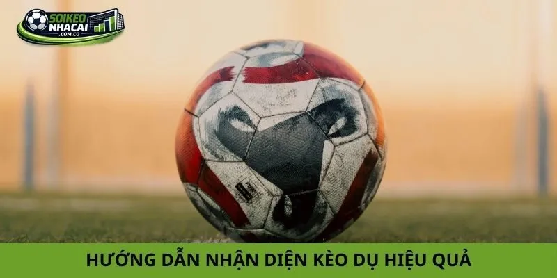 Hướng dẫn nhận diện kèo dụ hiệu quả