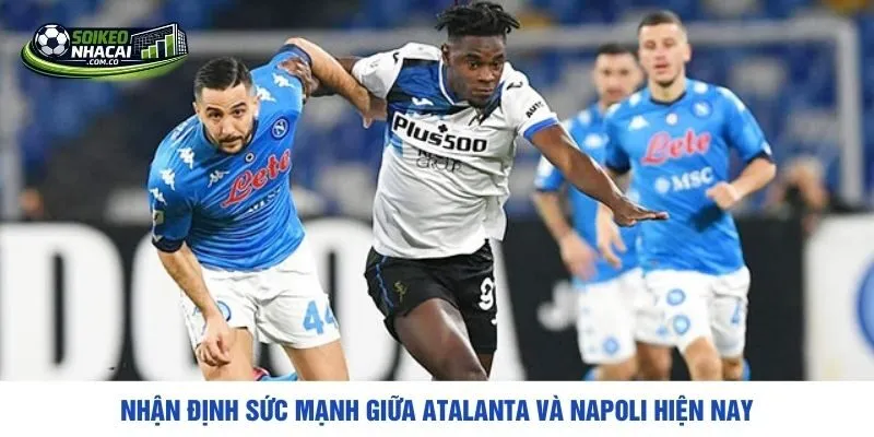 Nhận định sức mạnh giữa Atalanta và Napoli hiện nay