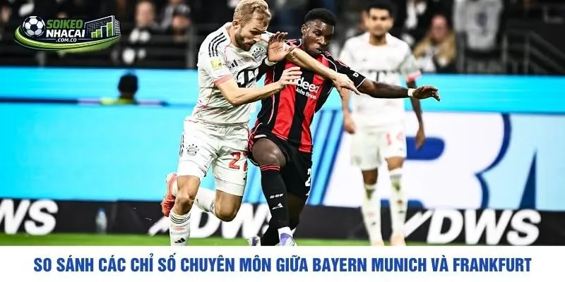 So sánh các chỉ số chuyên môn giữa Bayern Munich và Frankfurt