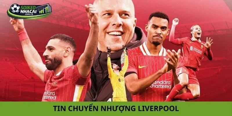 tin chuyển nhượng Liverpool