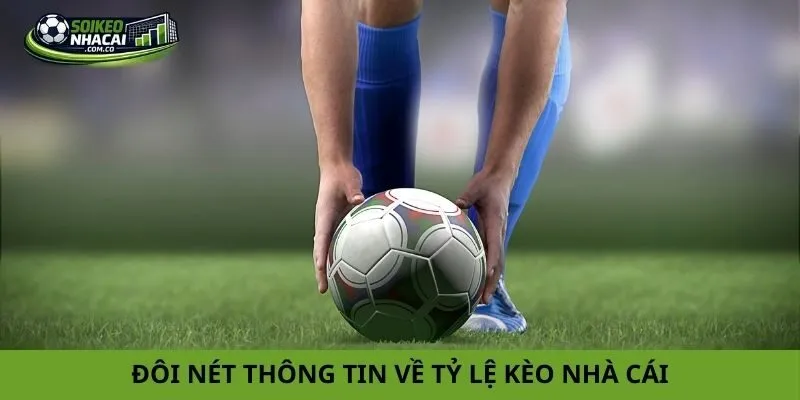 Đôi nét thông tin về tỷ lệ kèo nhà cái